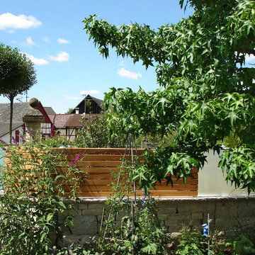 Faszination Gartenteich - modern und verspielt