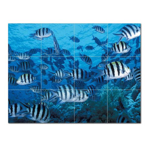 Sealife Picture Ceramic Tile Mural Kitchen Backsplash Bathroom Shower 405822 Sealife Picture Ceramic Tile Mural Kitchen Backsplash Bathroom Shower 405822