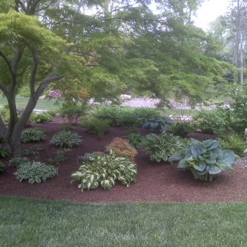 Shade Garden mid Spring (low maintenance)