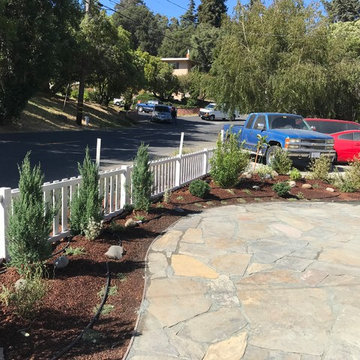 Mid Century El Sobrante Landscape Project