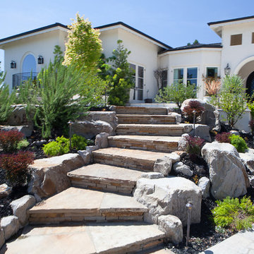 The Backyard Escape
