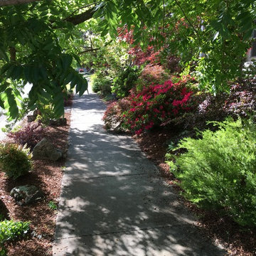 Peaceful Shade Garden Flanks Walkway
