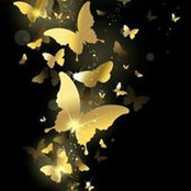 Ana Ana's photo