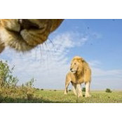 Dennis De Chavez's photo