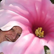 Gretchen Snyder's photo