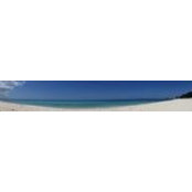 Martin Tedd's photo