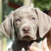 Debra McCray's photo