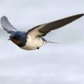 Garner Vogt's photo