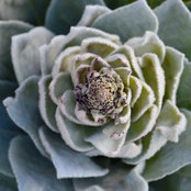 Lisa Yates's photo
