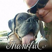 Teri Stout's photo