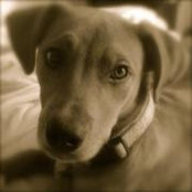 Jill McGuigan's photo