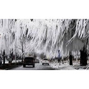 Scott Killimett's photo