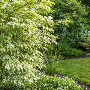Matisse Garden