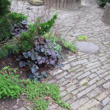 Rustic Garden & Patio