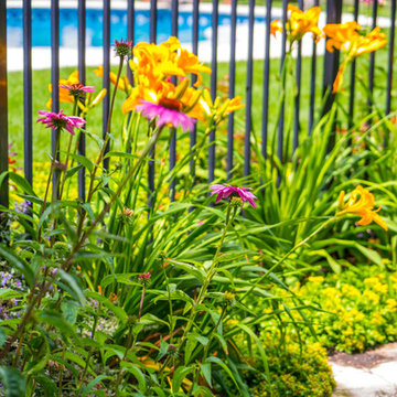 Pool, Patio, FirePit and Retaining Wall in North Barrington