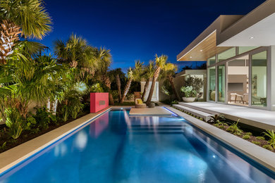 Large contemporary pool in Tampa.