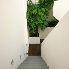 Plants indoors