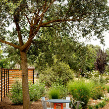Landscape Ideas