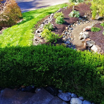 Rain Garden Landscape Makeover with Lawn Reduction