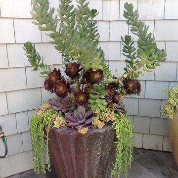 Corona del Mar residence