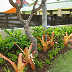 Gates & Fences - Home Fencing And Gates