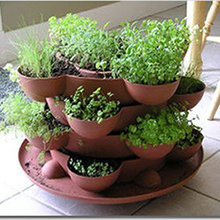herb garden