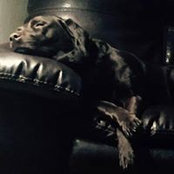 Foto von Cheryl Carter
