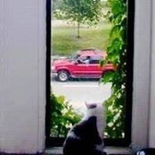 Sally Duros's photo
