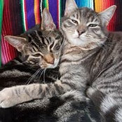 Heather Munn's photo