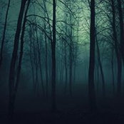 Heather Logan's photo