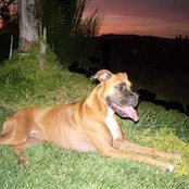 Tracy Marso's photo