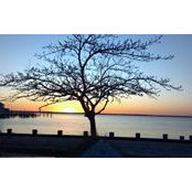 Arianna Scattone's photo