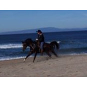 Marcia McNutt's photo