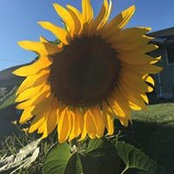 Foto von Robyn Kenworthy