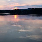 Anne Wedner's photo