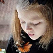 Lisa Higgins's photo