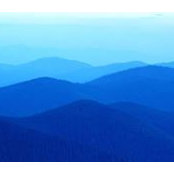 Donna Smith's photo