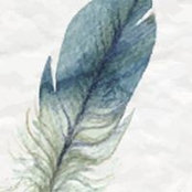 Foto de 林琨泰
