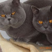 Lynne Best's photo