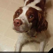 Theresa Staniszewski's photo