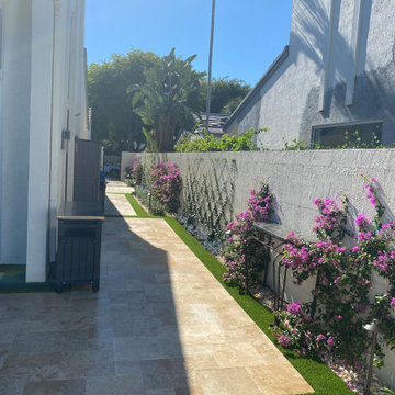 After - Espalier, Trained Vines on Wall