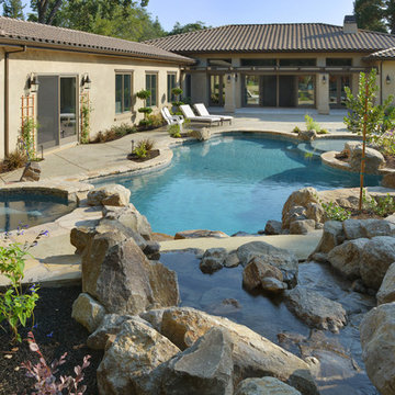 Natural Swimming Pool in Alamo, Ca