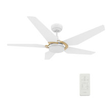 Lights And Fans
