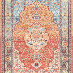 Traditional Area Rugs by nuLOOM