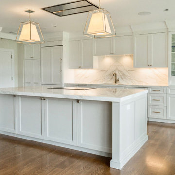Sleek Transitional White Kitchen