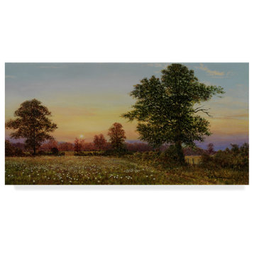 Bill Makinson 'Evening Daisies' Canvas Art, 19"x10"