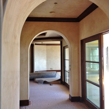 Venetian Plasters