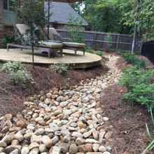 Backyard renovation