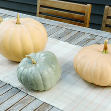 Fall Decor