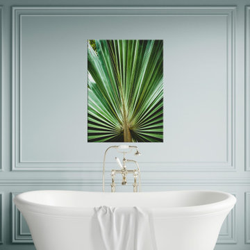 Aged and Colorized Wide Palm Leaves 2 Botanical Wall Art